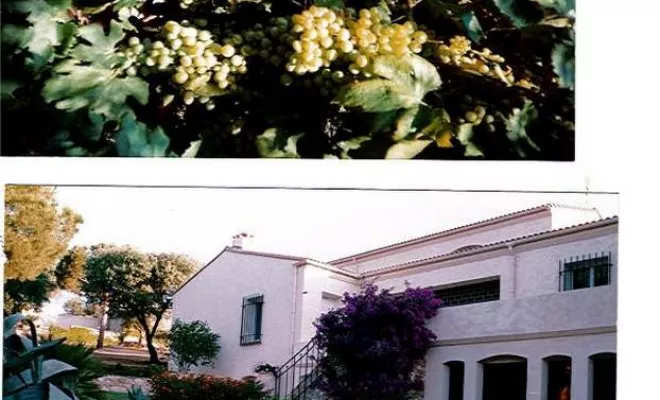 Grand meublé, Calvi, Clos San Michele