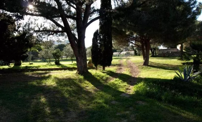 Grand meublé, Calvi, Clos San Michele