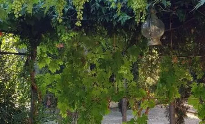 Grand meublé, Calvi, Clos San Michele
