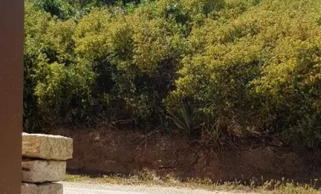 Petit meublé, Calvi, Clos San Michele